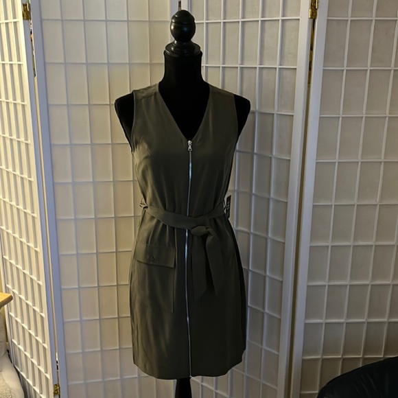NWT! Olive Green Express Dress - Picture 1 of 10